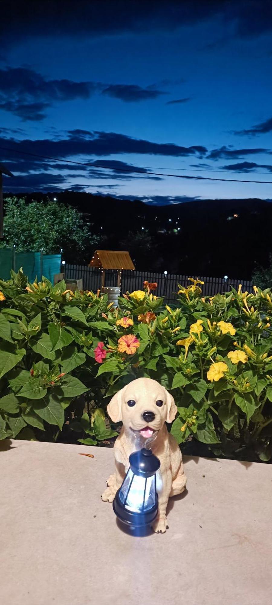 Vila Casuta Din Livada Secaria Exteriér fotografie